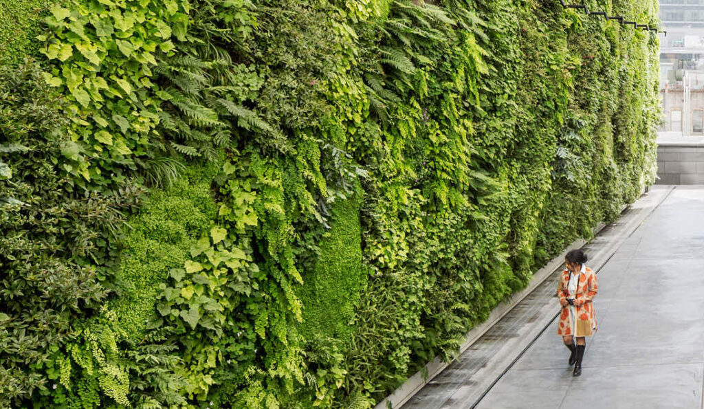 Transforming Spaces with a Vertical Green Wall System Benefits, Installation, and Maintenance